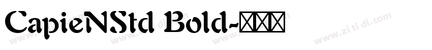CapieNStd Bold字体转换